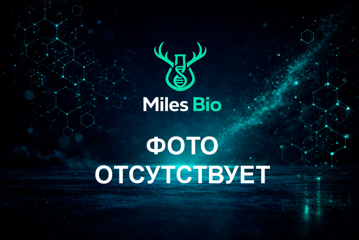 Экстентпант